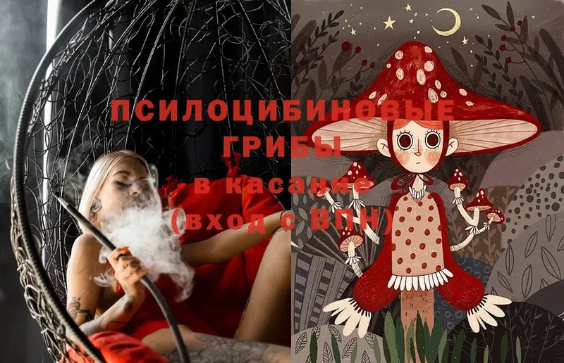 купить наркотики цена  Тверь  кракен ONION  Галлюциногенные грибы Psilocybe 